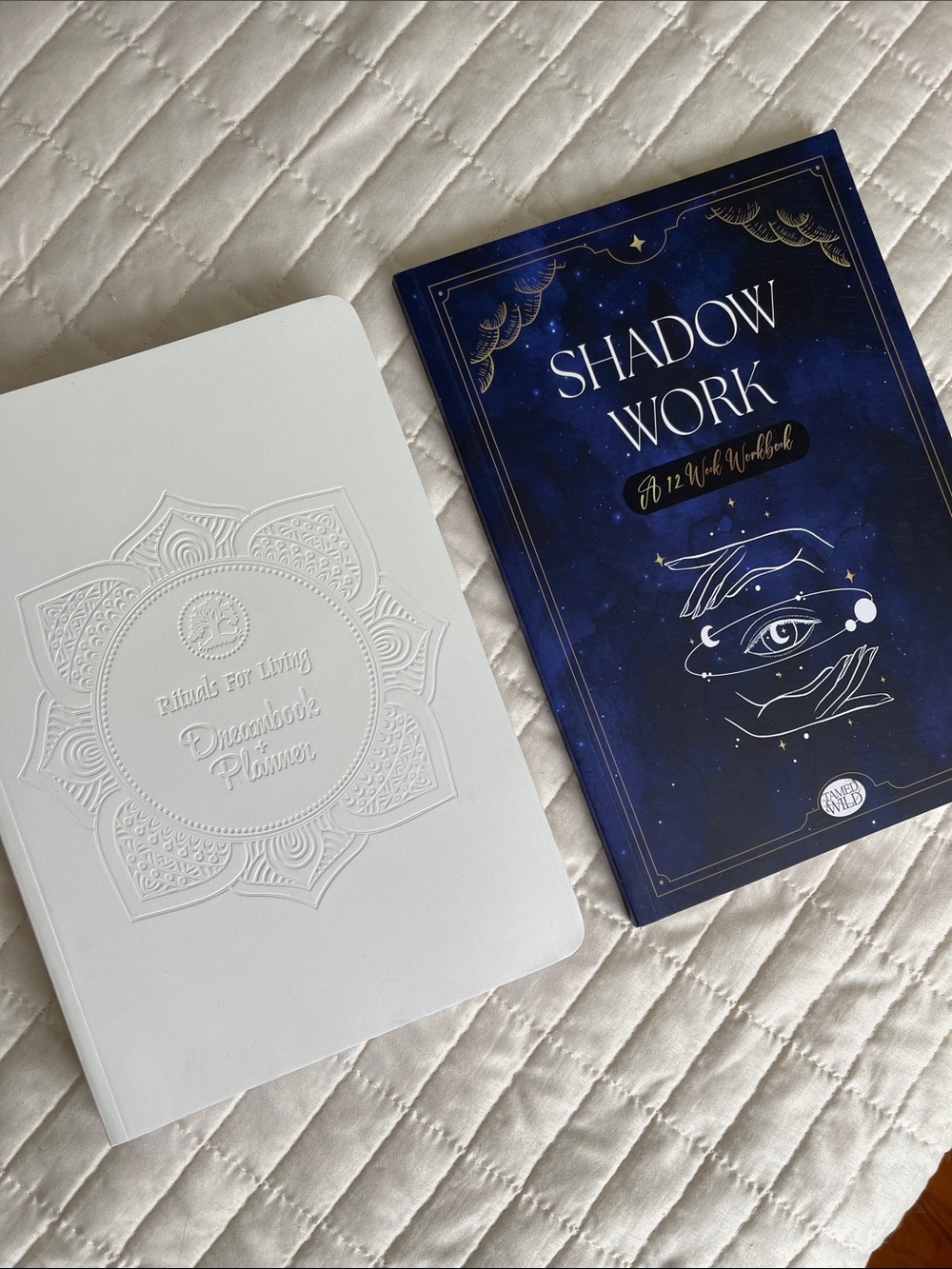 Shadow Work Workbook + Embossed White Dreambook Planner